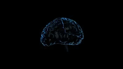 Damaged Brain