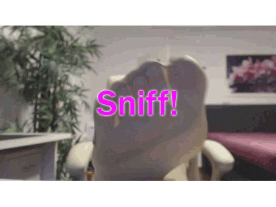 My feet in nylons!! - English subtitles